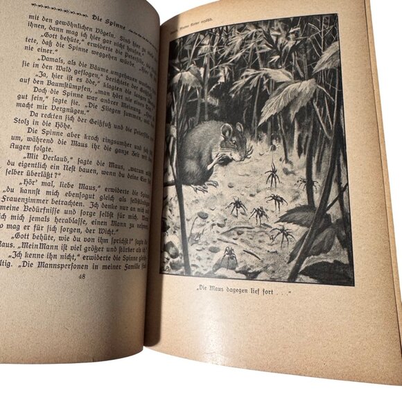 "Mother Nature Tells" By Karl Ewald Hardcover Book German Mutter Natur Erzählt - Picture 7 of 16